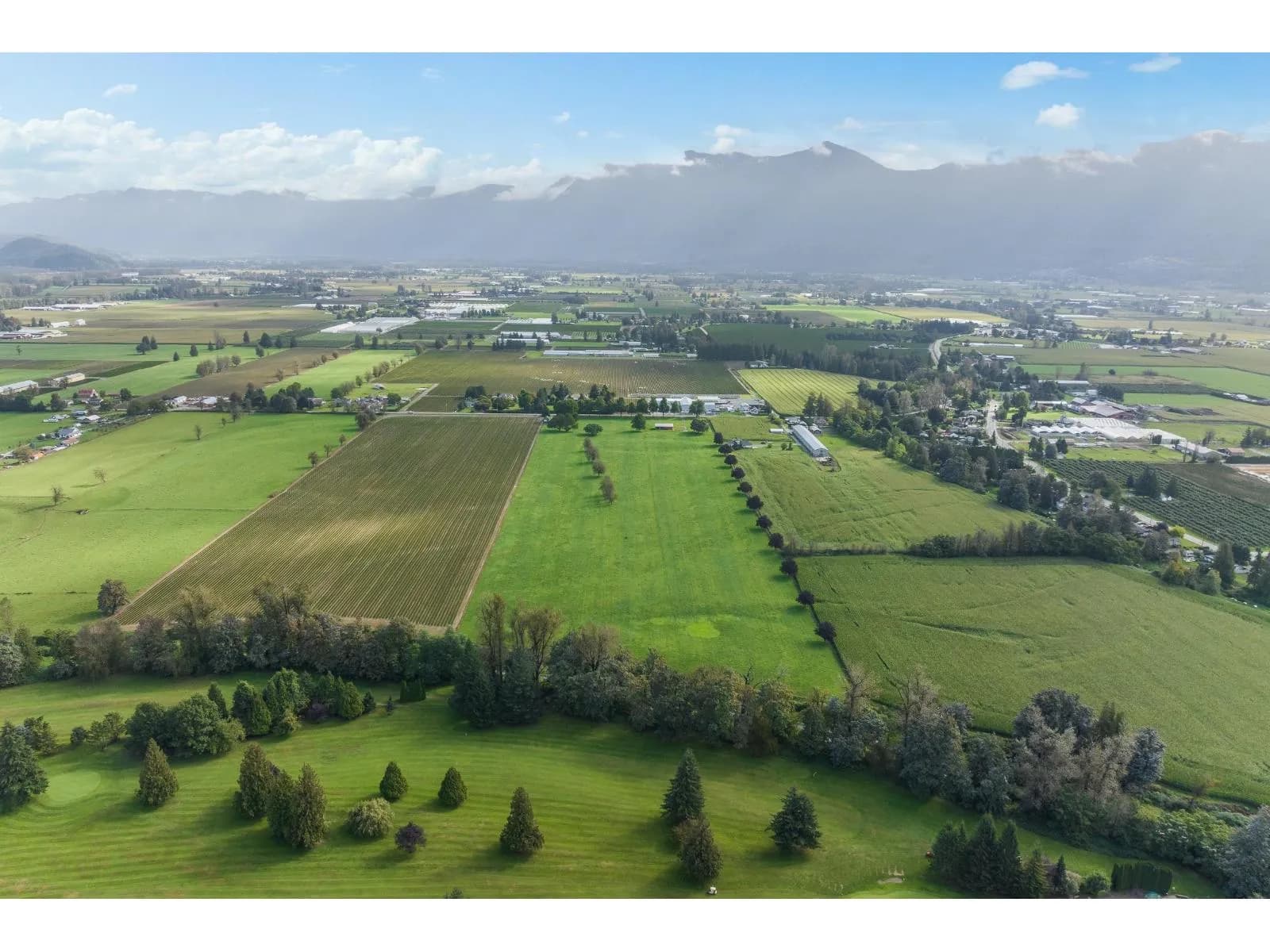 10125 REEVES ROAD, East Chilliwack — photo 4 of 17