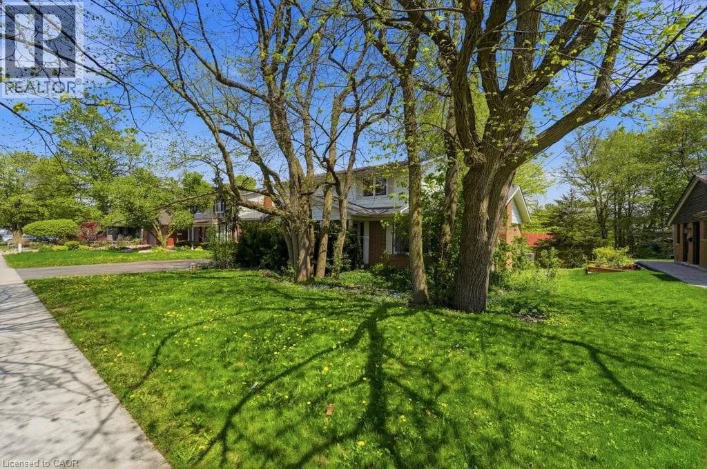 46 BIRCHCLIFF Avenue — photo 4 of 11