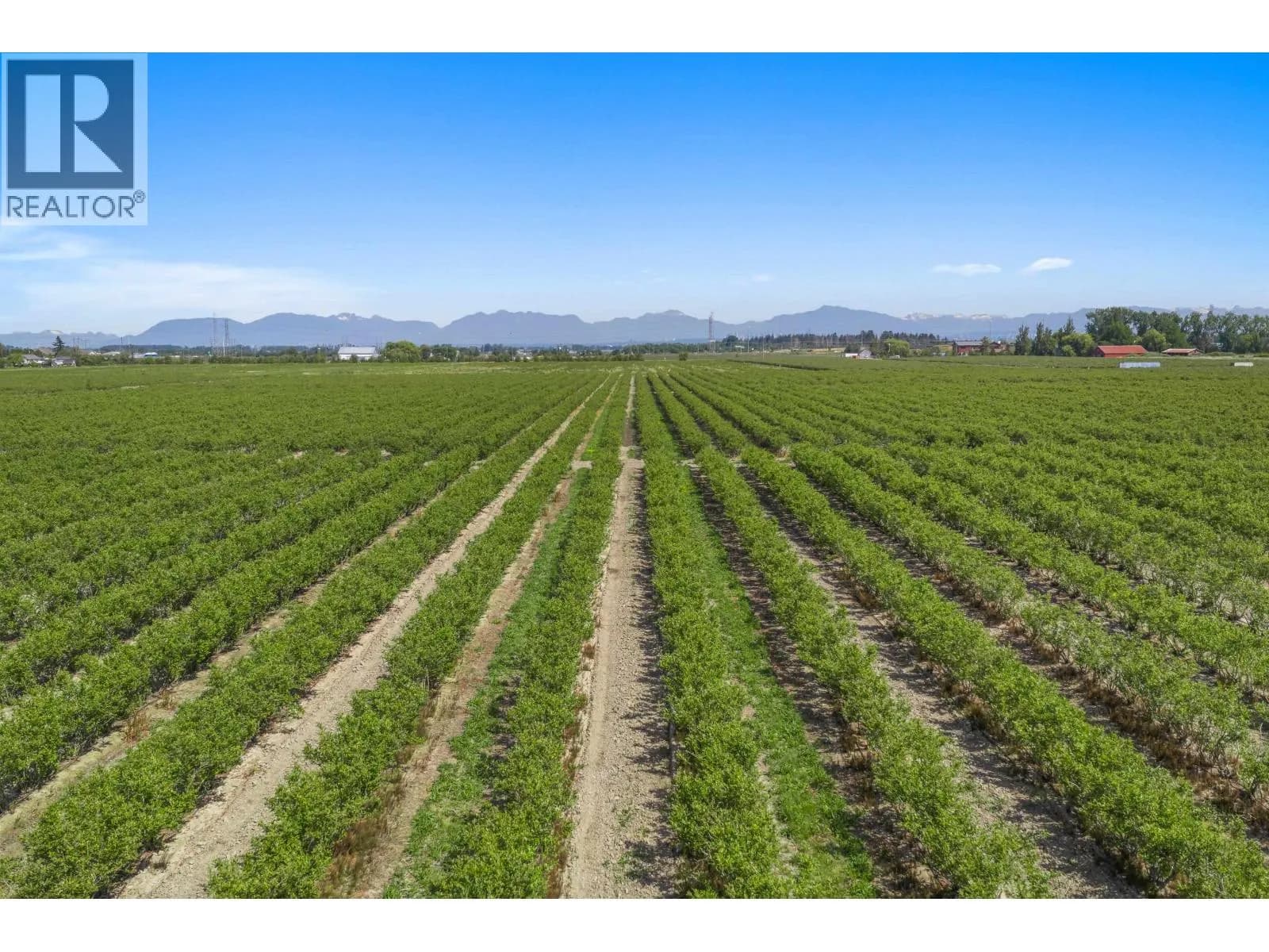 LOT 7 LADNER TRUNK ROAD — photo 5 of 8